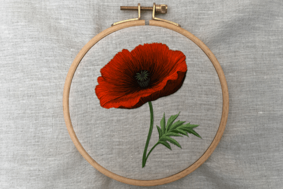 Poppy Bloom Hand Embroidery Pattern Review
